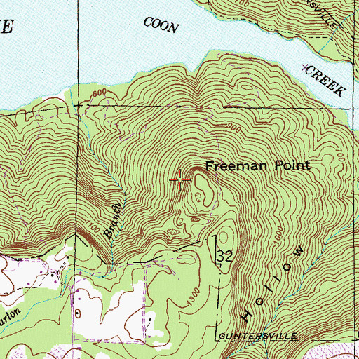 Topographic Map of Freeman Point, AL