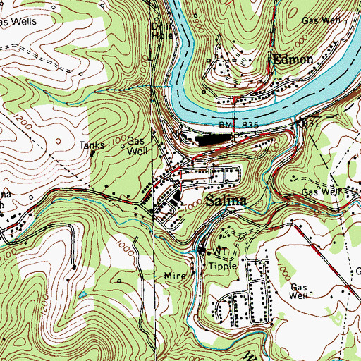 Topographic Map of Salina, PA