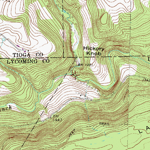 Topographic Map of Salt Spring Run, PA