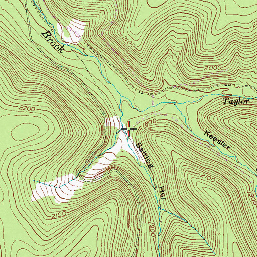 Topographic Map of Saltlog Hollow, PA
