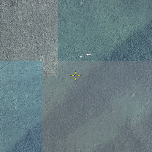 Aerial/Satellite Image of Sassafras Trail, PA