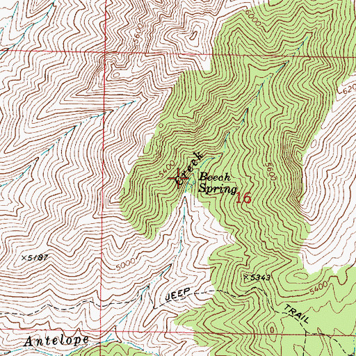 Topographic Map of Beech Spring, AZ