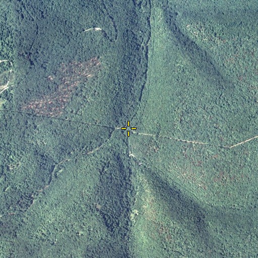 Aerial/Satellite Image of Saunders Run, PA