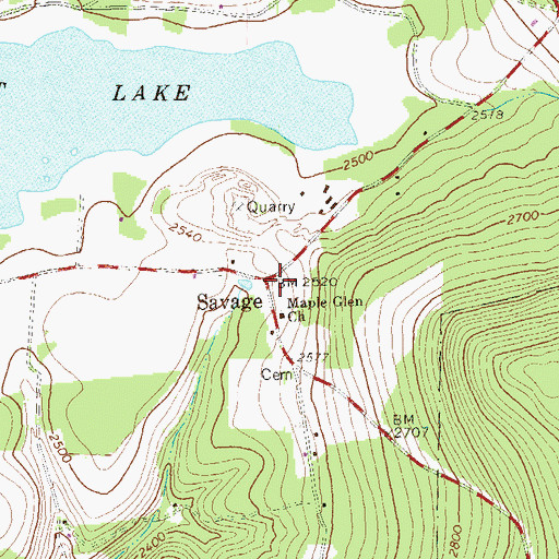 Topographic Map of Savage, PA