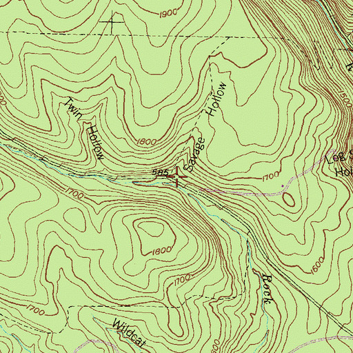 Topographic Map of Savage Hollow, PA