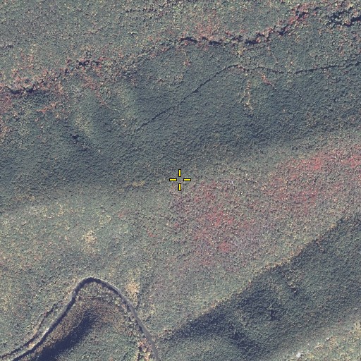 Aerial/Satellite Image of Sawmill Mountain, PA