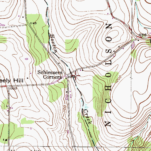 Topographic Map of Schlessers Corners, PA