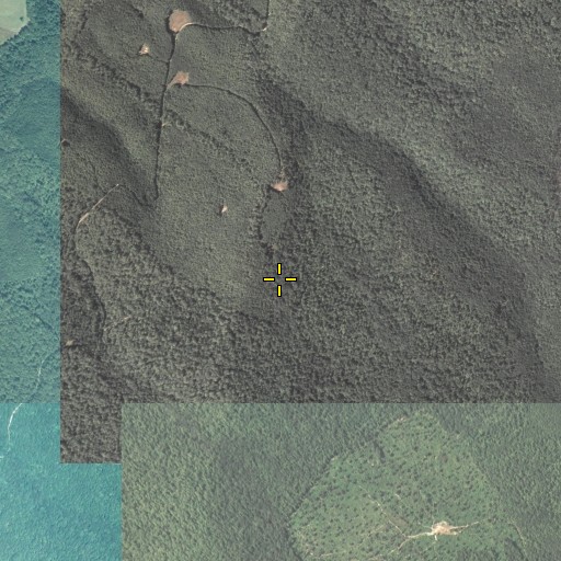 Aerial/Satellite Image of Sciotha Trail, PA