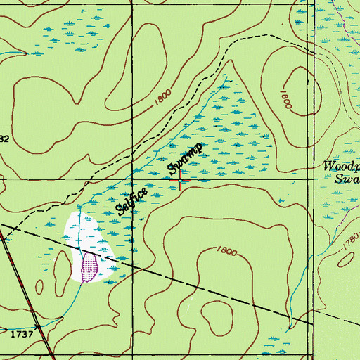 Topographic Map of Selfice Swamp, PA