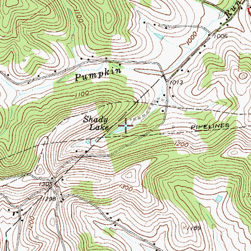 Topographic Map of Shady Lake, PA
