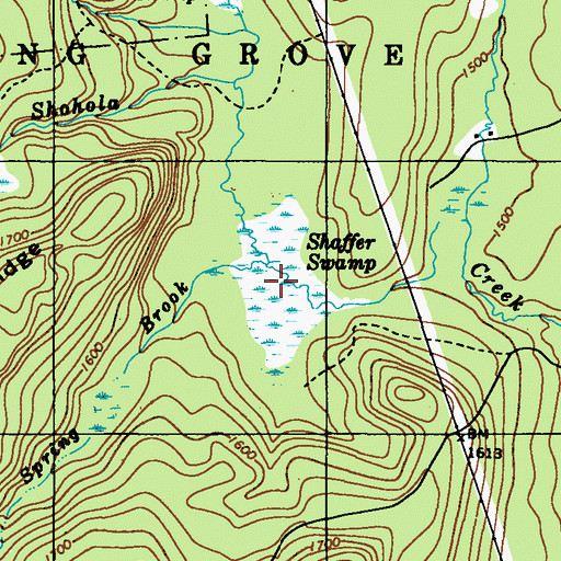 Topographic Map of Shaffer Swamp, PA
