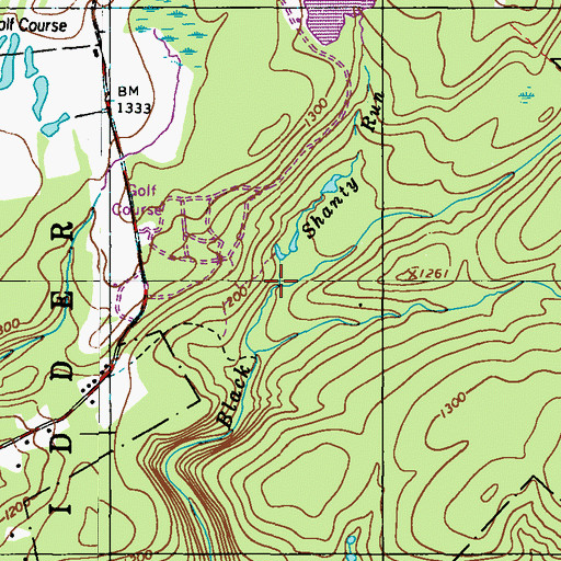 Topographic Map of Shanty Run, PA