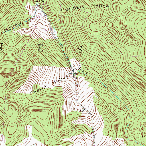 Topographic Map of Shaver Hollow, PA