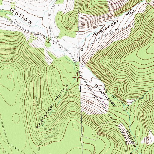 Topographic Map of Shelander Hollow, PA