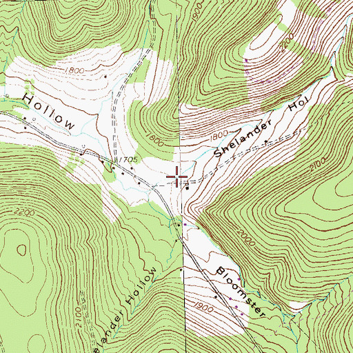 Topographic Map of Shelander Hollow, PA