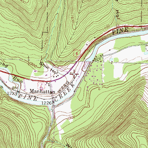 Topographic Map of Shin Hollow, PA