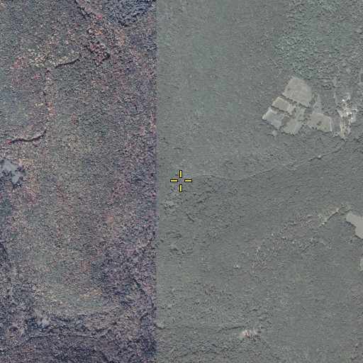 Aerial/Satellite Image of Shingle Run, PA