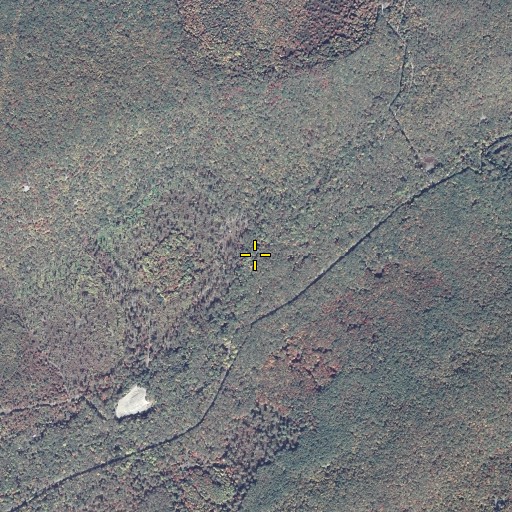 Aerial/Satellite Image of Shingletown Branch, PA