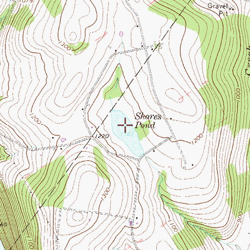 Topographic Map of Shores Pond, PA
