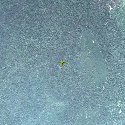 Aerial/Satellite Image of Short Run Trail, PA
