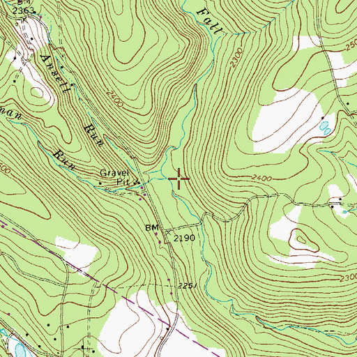 Topographic Map of Showman Run, PA