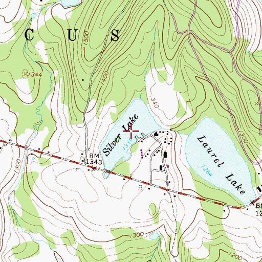 Topographic Map of Silver Lake, PA