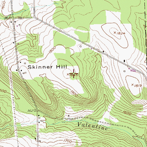 Topographic Map of Skinner Hill, PA