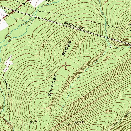 Topographic Map of Skinner Ridge, PA