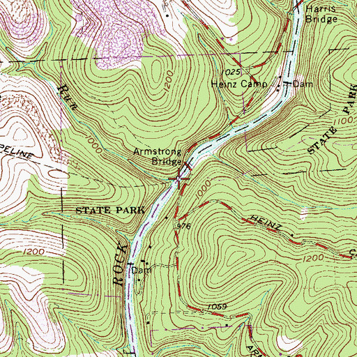 Topographic Map of Skunk Run, PA