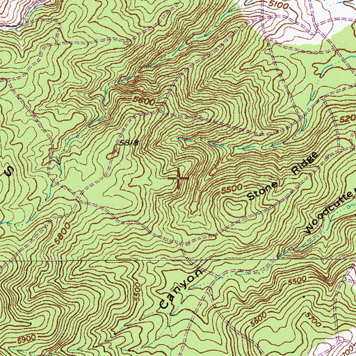 Topographic Map of Stone Ridge, AZ