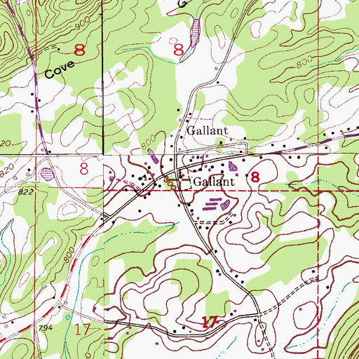 Topographic Map of Gallant, AL
