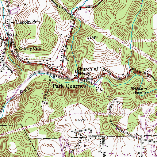 Topographic Map of Snake Run, PA