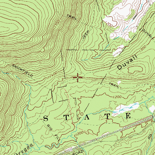 Topographic Map of Snowfield Trail, PA