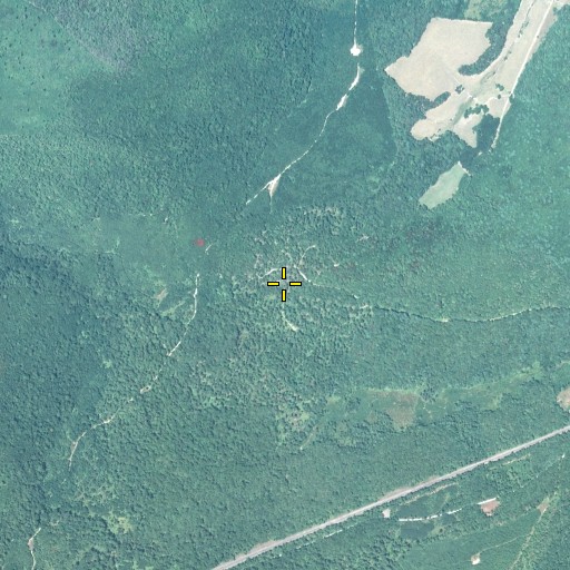Aerial/Satellite Image of Snowfield Trail, PA