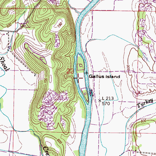 Topographic Map of Gallus Island, AL