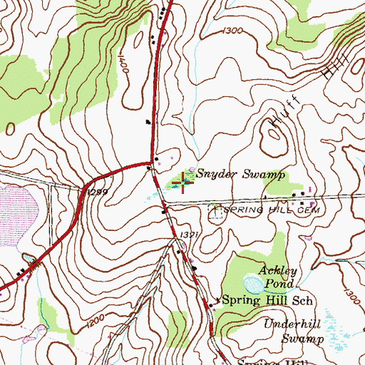 Topographic Map of Snyder Swamp, PA