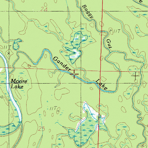 Topographic Map of Gander Lake, AL