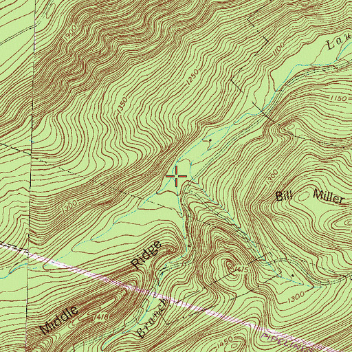 Topographic Map of South Branch Laurel Run, PA