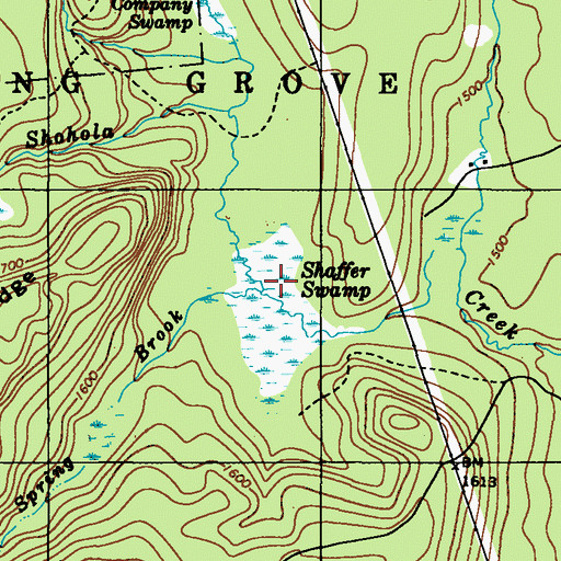 Topographic Map of Spring Brook, PA