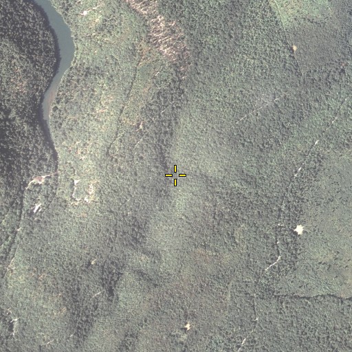 Aerial/Satellite Image of Spring Run, PA