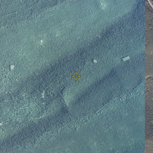 Aerial/Satellite Image of Spruce Mountain Trail, PA