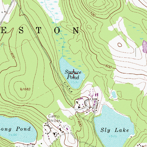 Topographic Map of Spruce Pond, PA