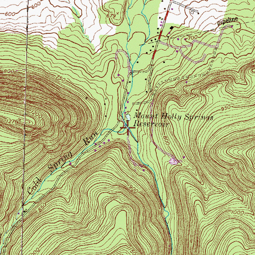 Topographic Map of Spruce Run, PA