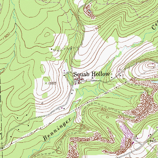 Topographic Map of Squab Hollow, PA