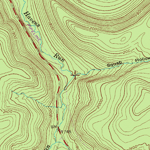 Topographic Map of Squab Hollow, PA