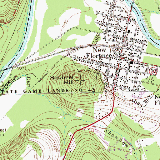 Topographic Map of Squirrel Hill, PA