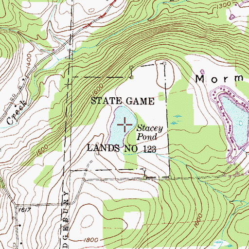 Topographic Map of Stacey Pond, PA