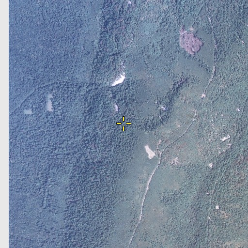 Aerial/Satellite Image of State Game Lands Number 99, PA