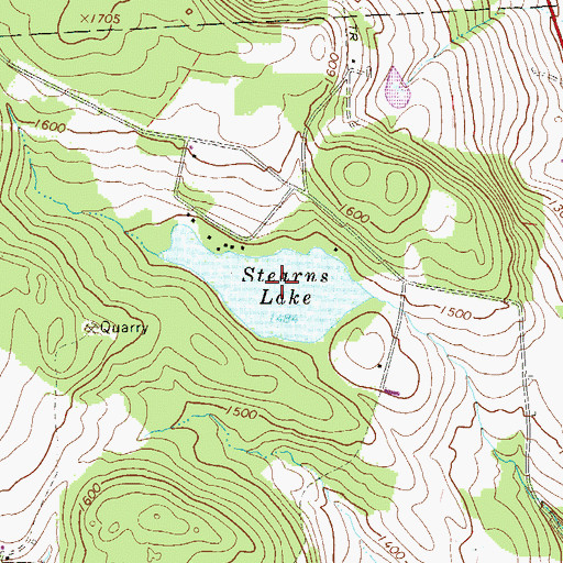Topographic Map of Stearns Lake, PA