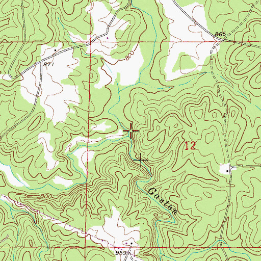 Topographic Map of Gaston Branch, AL